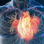 Viaje al centro del corazón
